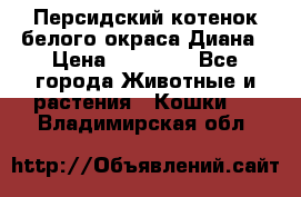 Персидский котенок белого окраса Диана › Цена ­ 40 000 - Все города Животные и растения » Кошки   . Владимирская обл.